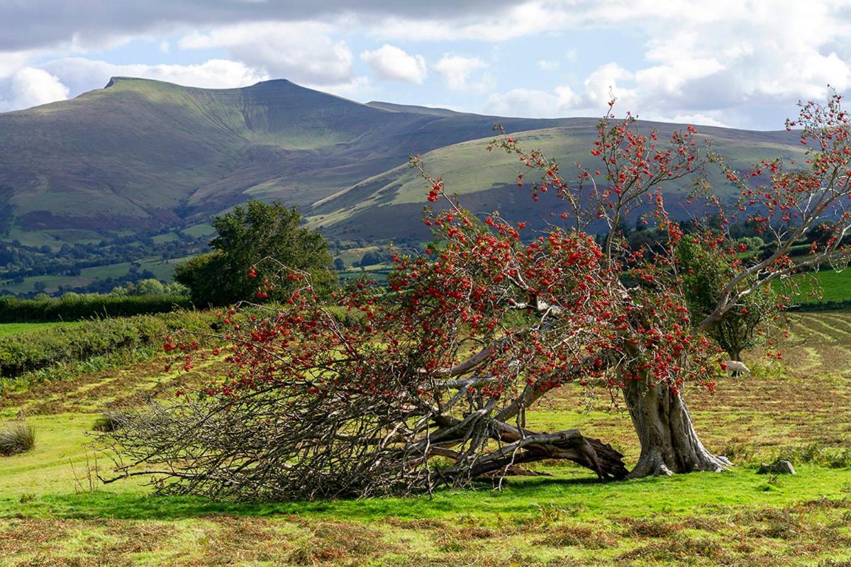 Picturesque 2 Bedroom Miners Cottage Near Bike Park Wales & Brecon Beacons マーサー・ティドビル エクステリア 写真